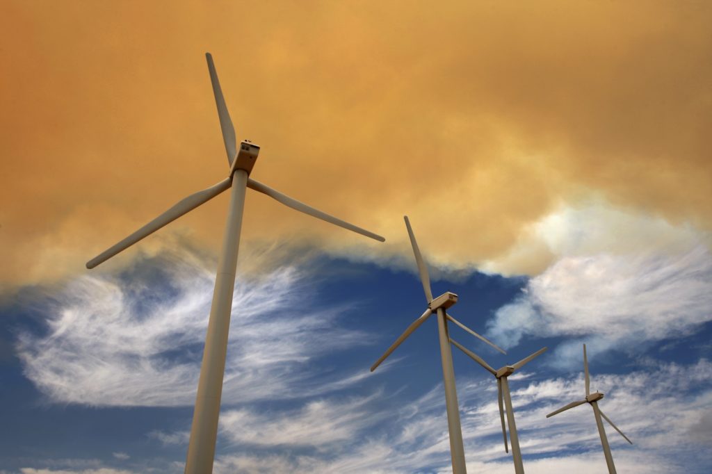 New York and California challenge federal plan to cancel offshore wind projects