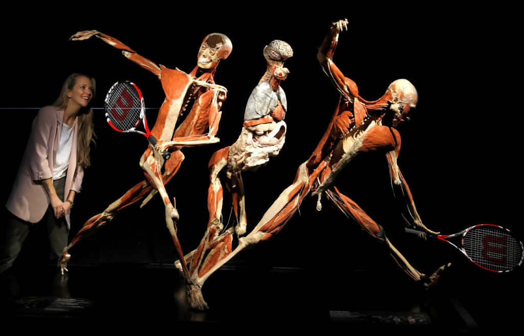 Anatomist Gunther von Hagens, creator of 'Body Worlds', has died at 81