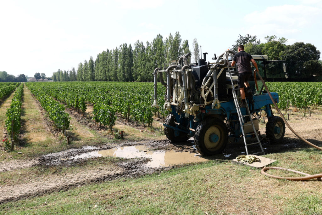 Wildfires in Bordeaux Impact Local Wine Industry