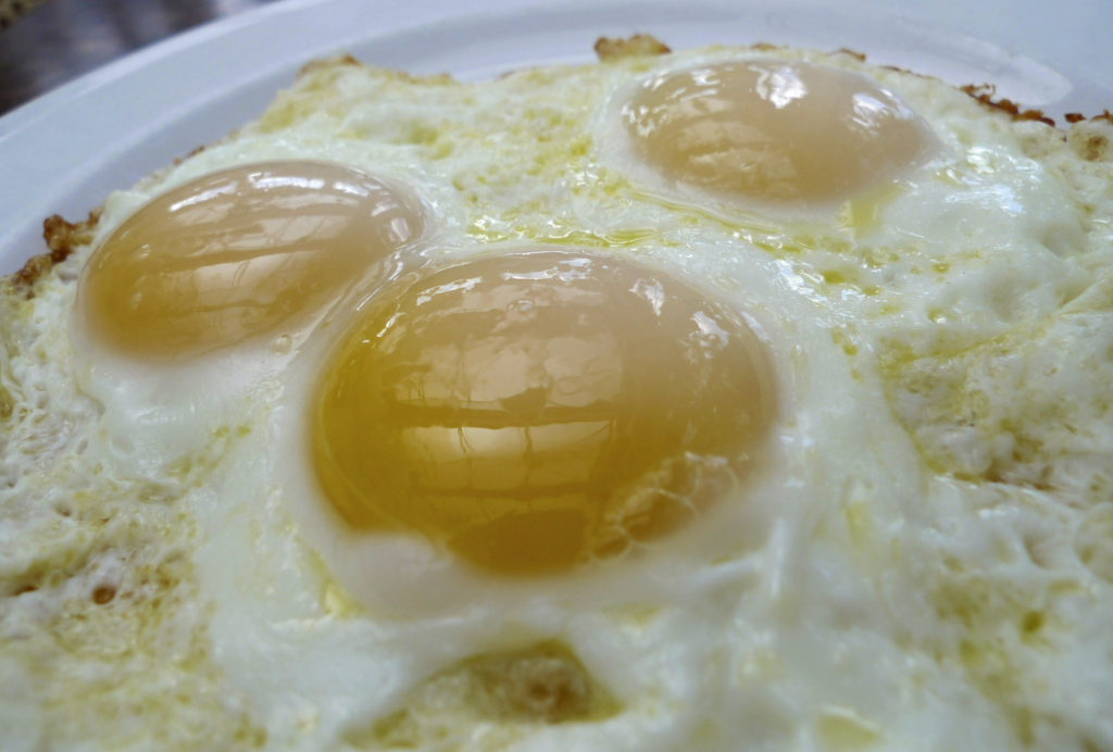 Salmonella Outbreaks Linked to Various Food Sources and Animals