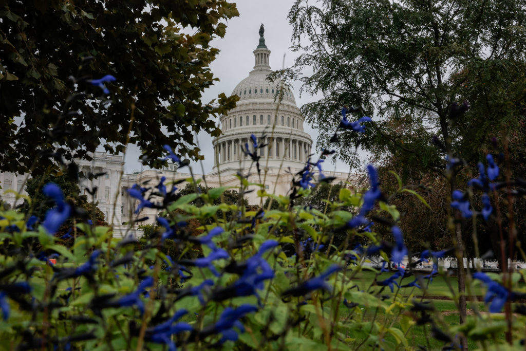 Senate proposes legislation to expedite permitting for energy projects