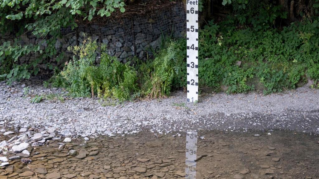 Drought declared in parts of England and Wales