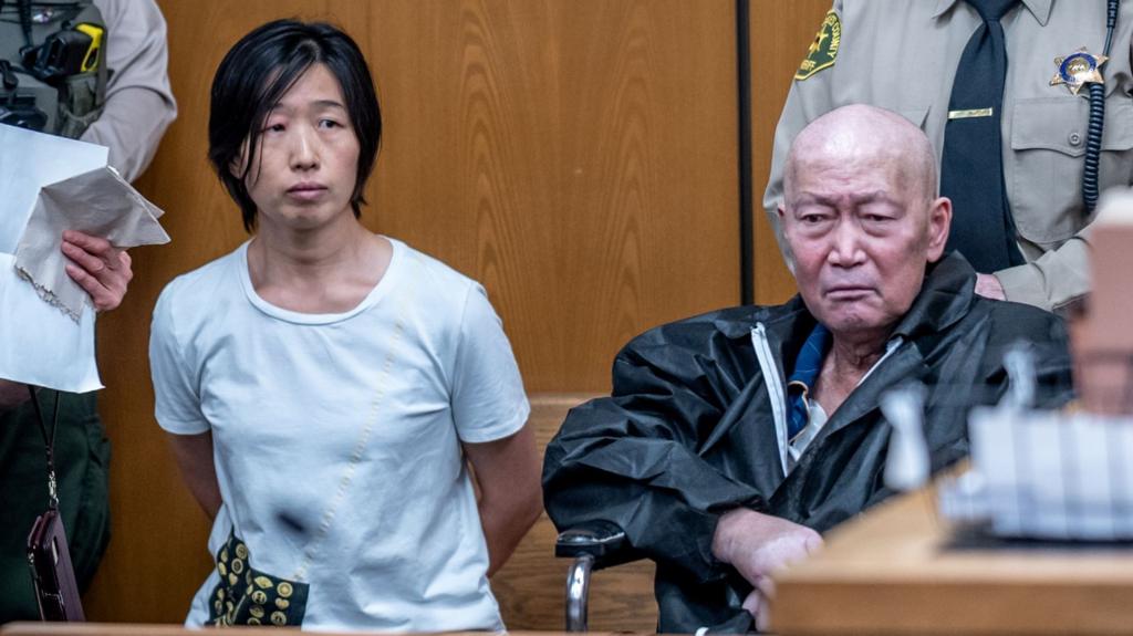 Couple charged with abuse of multiple surrogate-born children