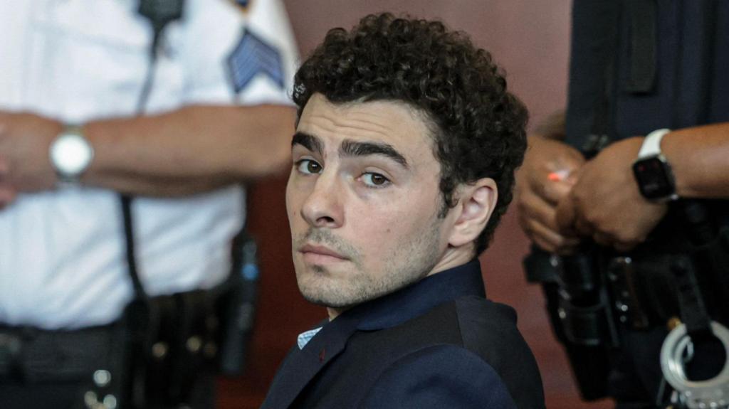 Man pleads guilty to killing healthcare CEO in Manhattan