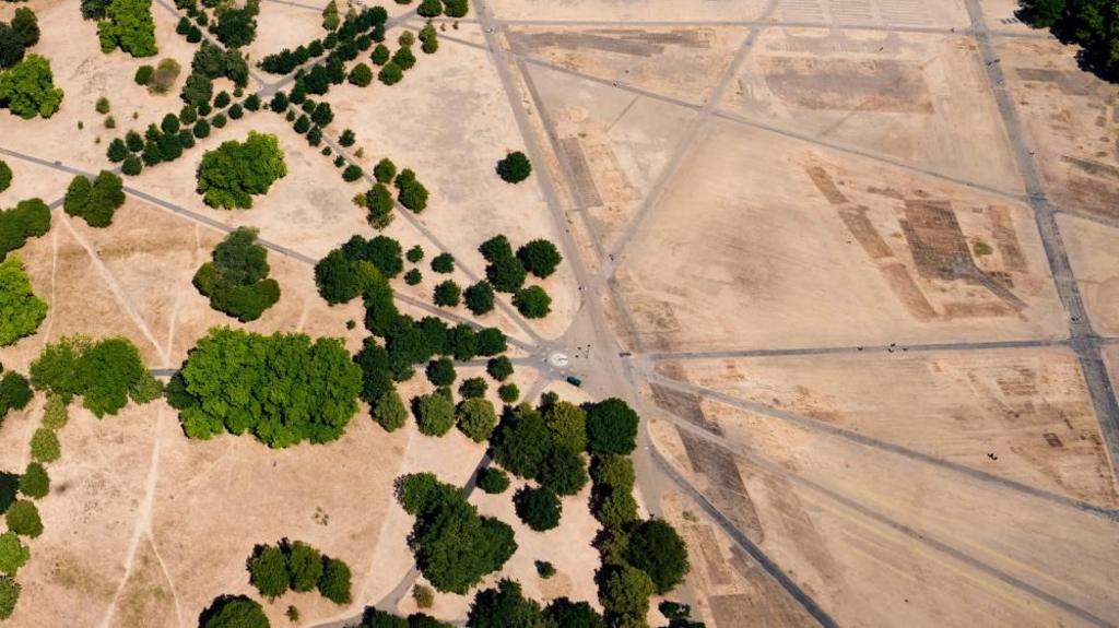 NFU president raises concerns over food supply due to drought conditions