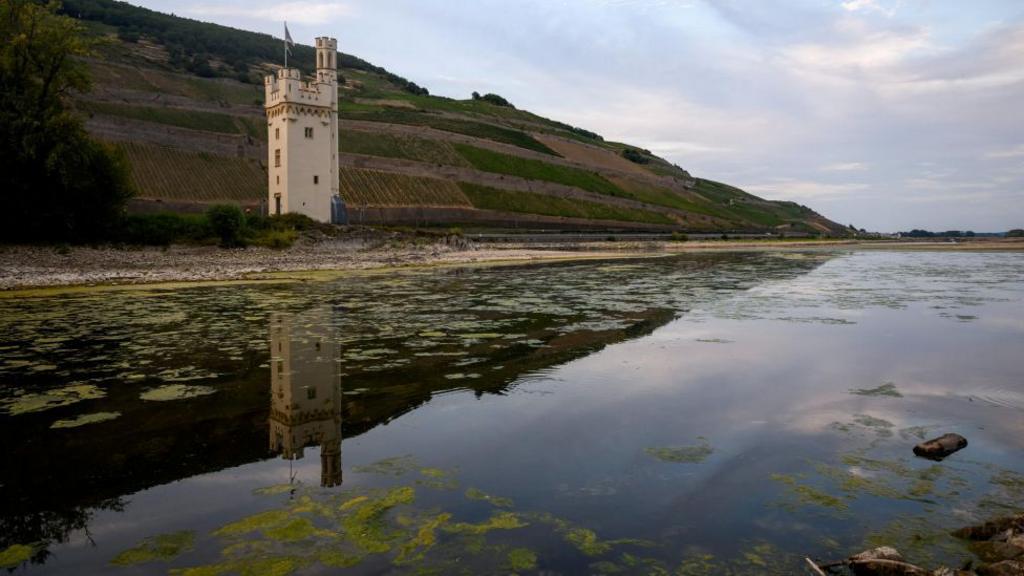 Rhine River shows record low water levels during drought conditions in Europe