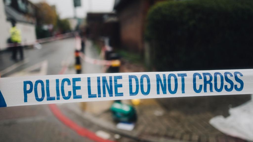 Police arrest individuals following death of teen in Luton stabbing incident