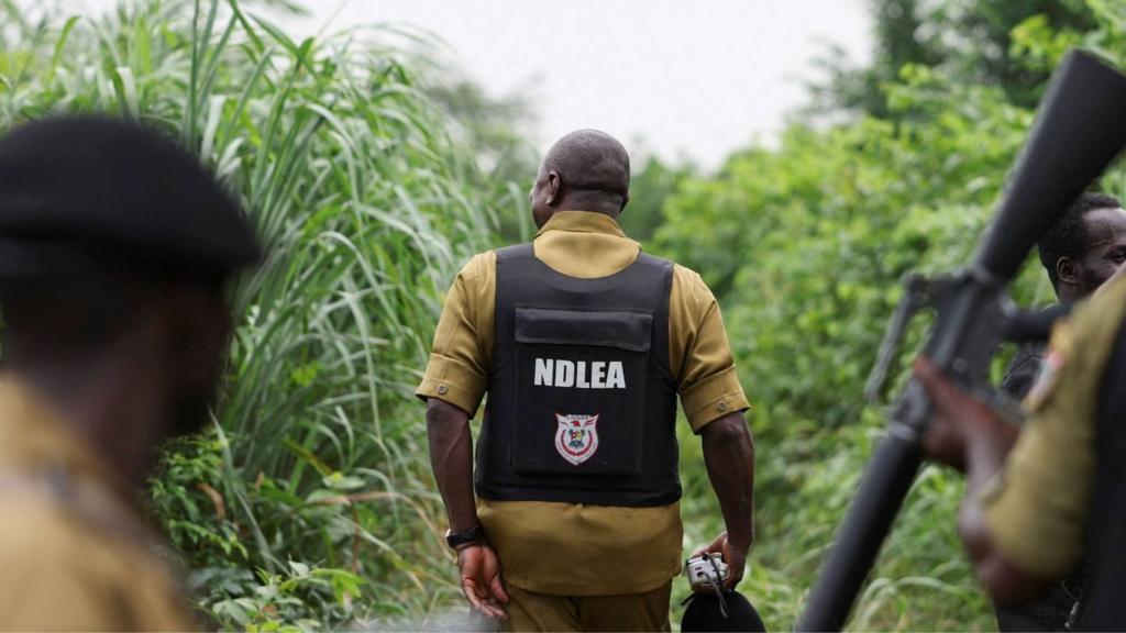 Mexican drug cartels expand meth production operations to Nigeria