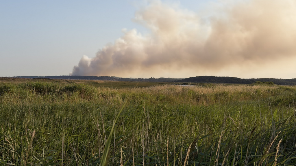 Emergency services respond to fire in Suffolk, evacuating homes and a caravan park