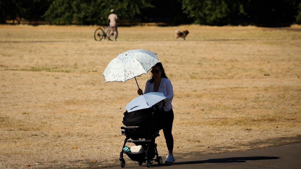 Temperatures in England expected to reach 34C