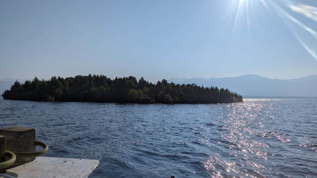 Floating island in British Columbia's lake discovered after drifting