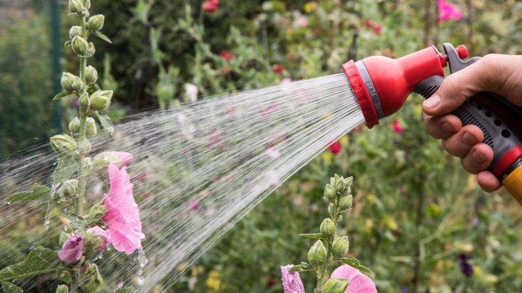 Hosepipe bans implemented in multiple areas affecting over eight million households