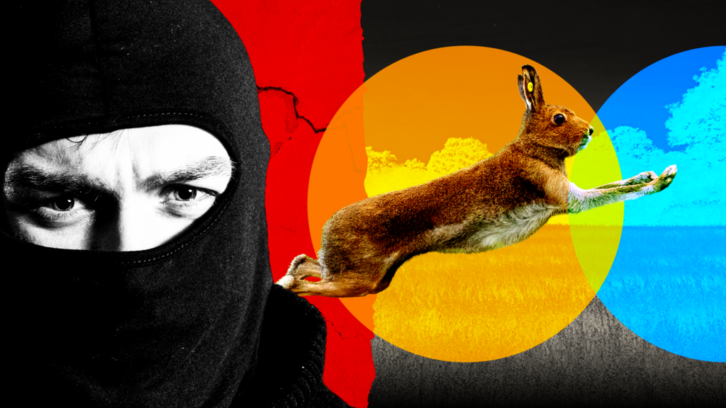 Reports of Illegal Hare Coursing Increase in Rural Areas