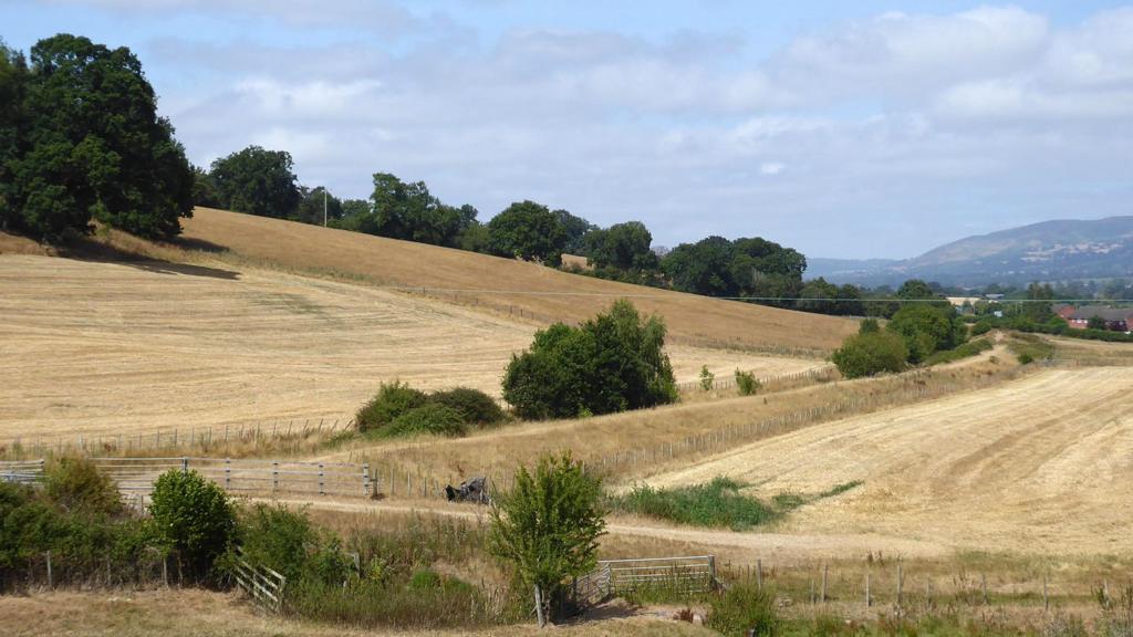 Drought Conditions Develop in Parts of Wales Due to Low Rainfall