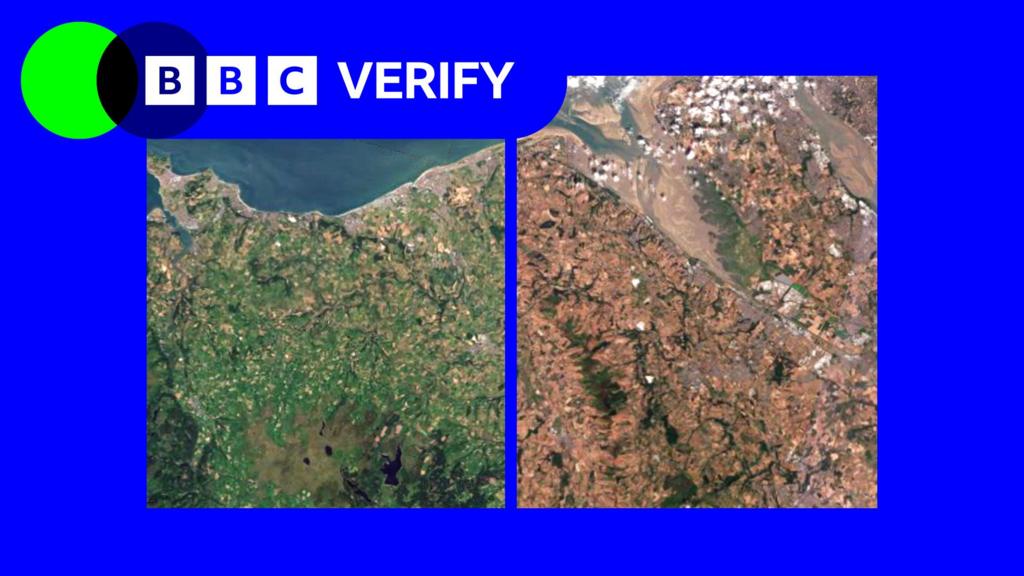 Satellite images reveal effects of heatwaves and drought on UK vegetation