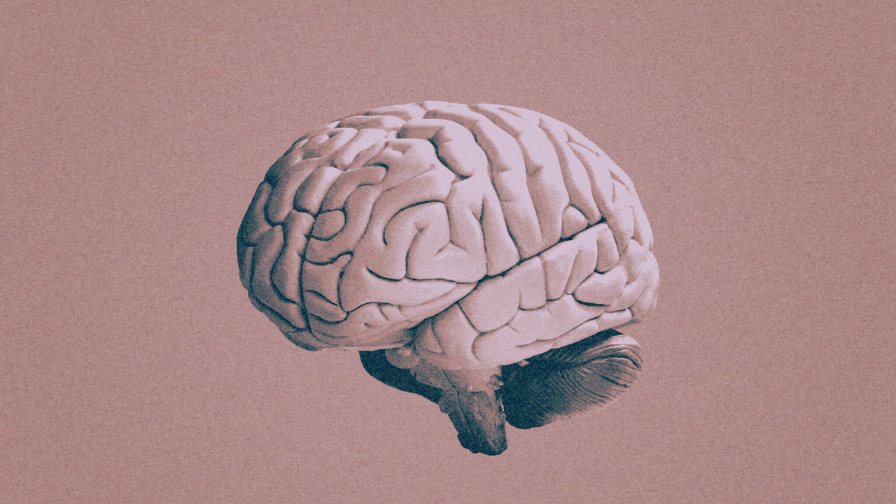 Brain implants highlighted in U.S.-China bioscience competition
