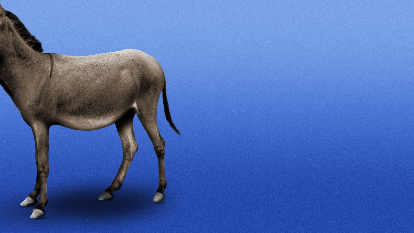 Democrats May Not Have a Clear Leader Until 2028